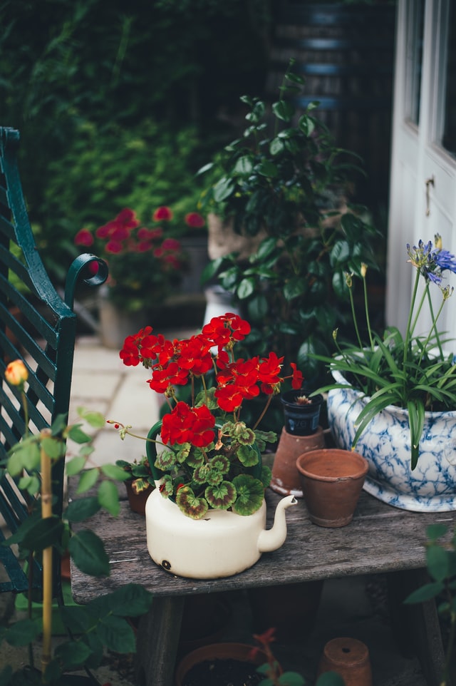 Apartment Gardening